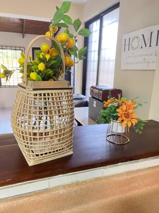 La Casa De Mama Luz Apartman Puerto Plata Kültér fotó