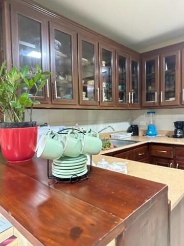 La Casa De Mama Luz Apartman Puerto Plata Kültér fotó